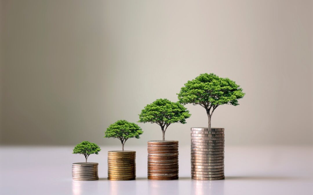 The Four Stages of High Growth