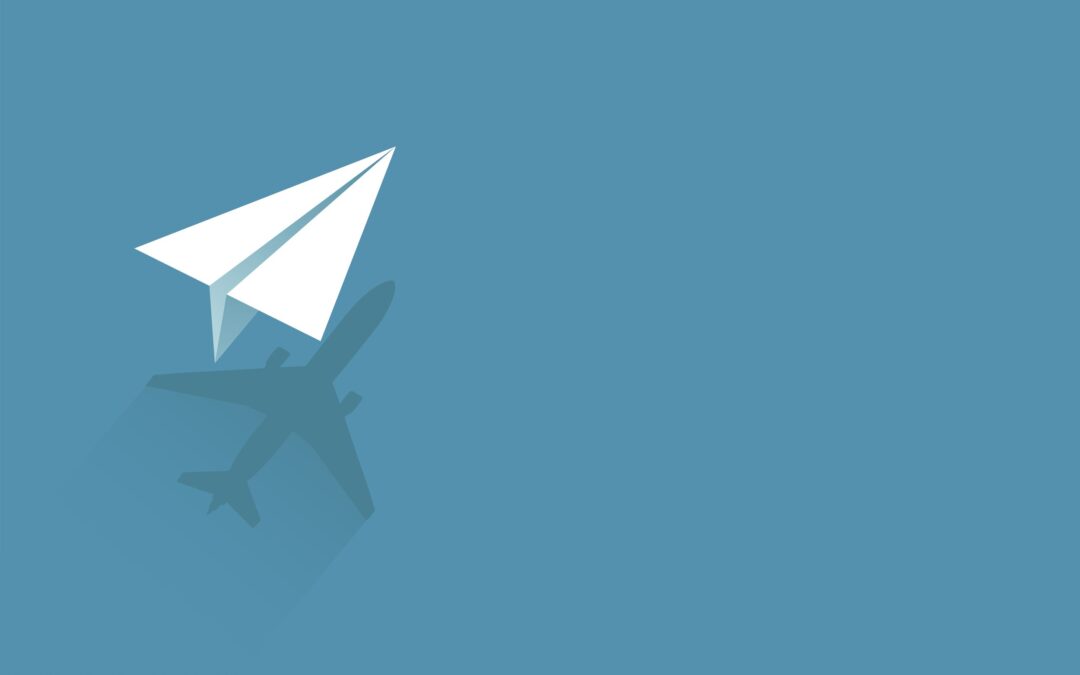 The Growth Journey of a Founder CEO: “The Shadow of a Leader”
